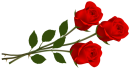 Large_Red_Roses_PNG_Clipart
